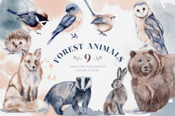 Download Watercolor Forest Animals Birds Owl - Forest animal Collection