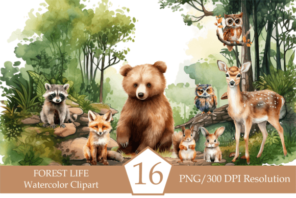 Download Watercolor Forest Animals - Forest animal Collection