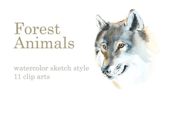 Download Watercolor Forest Animals - Forest animal Collection