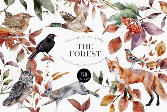 Download Autumn Forest Animals Watercolor PNG - Forest animal Collection
