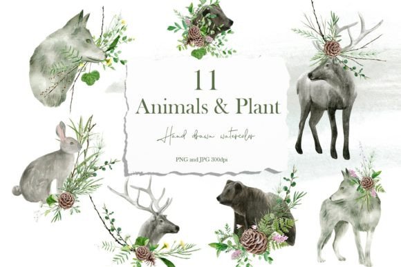 Download Watercolor Forest Animals &amp; Wildflowers - Forest animal Collection