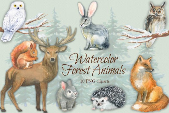 Download Watercolor Forest Animals - Forest animal Collection
