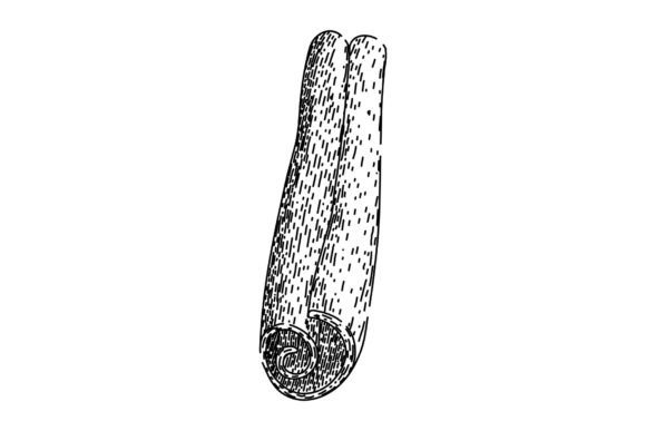 Download Ingredient Cinnamon Sketch Hand Drawn Ve - Drawn Collection